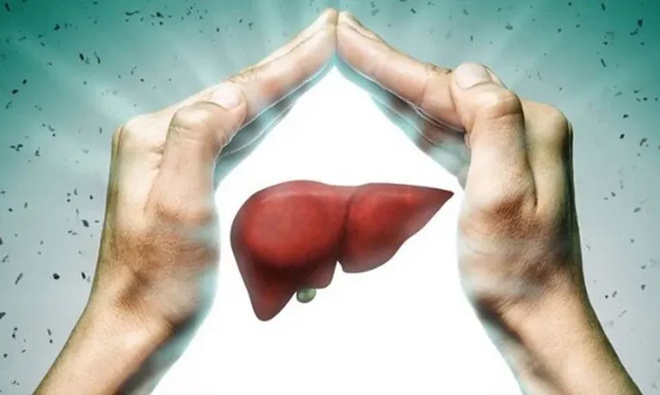World Liver Day: 7 Habits That You Should Get Rid of for a Healthy Liver